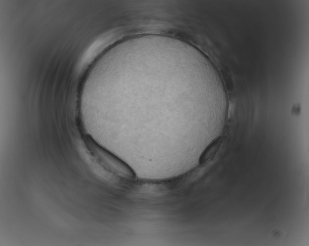 X0000115790101200912241840