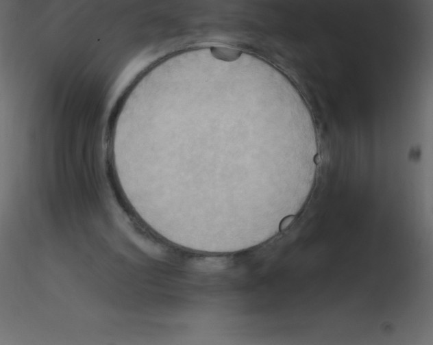 X0000115790102200912241840