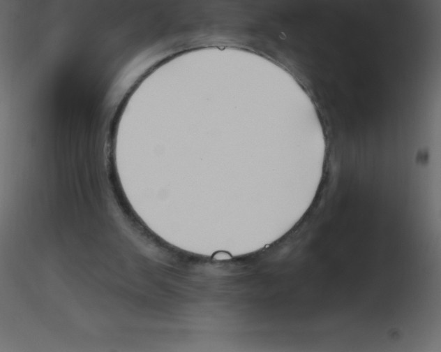 X0000115790103200912241840