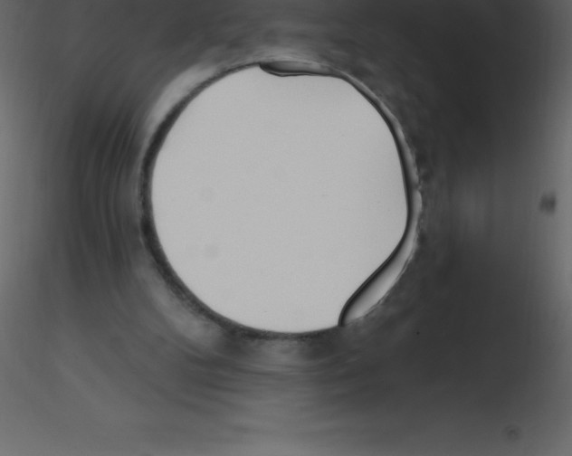 X0000115790104200912241840