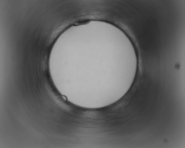 X0000115790105200912241840
