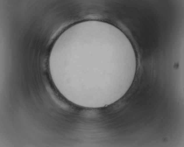 X0000115790106200912241840