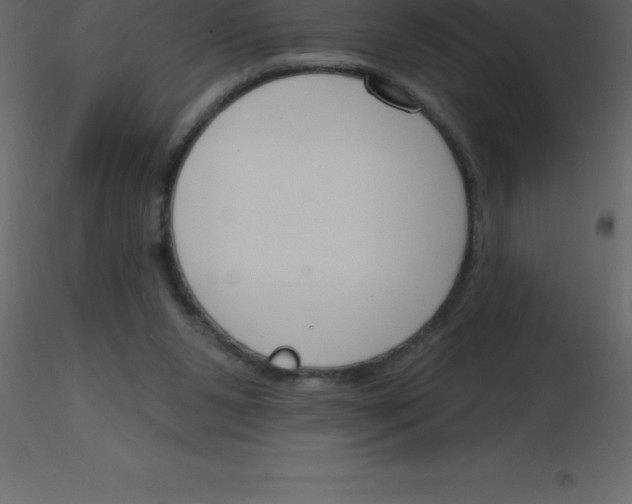 X0000115790111200912241840