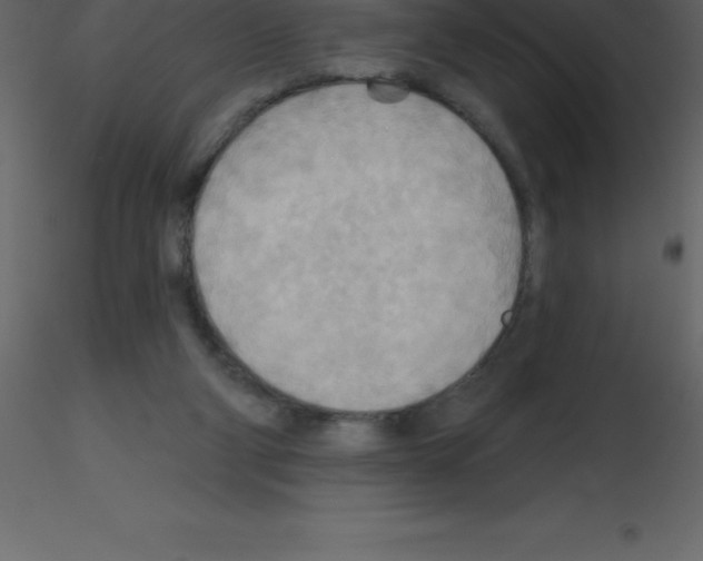 X0000115790114200912241840