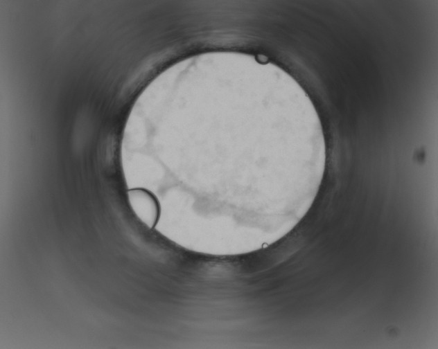 X0000115790115200912241840