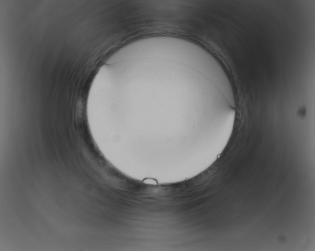 X0000115790117200912241840