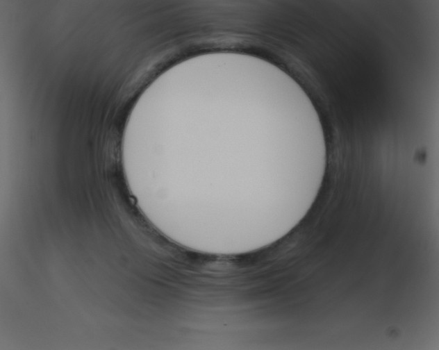 X0000115790119200912241840