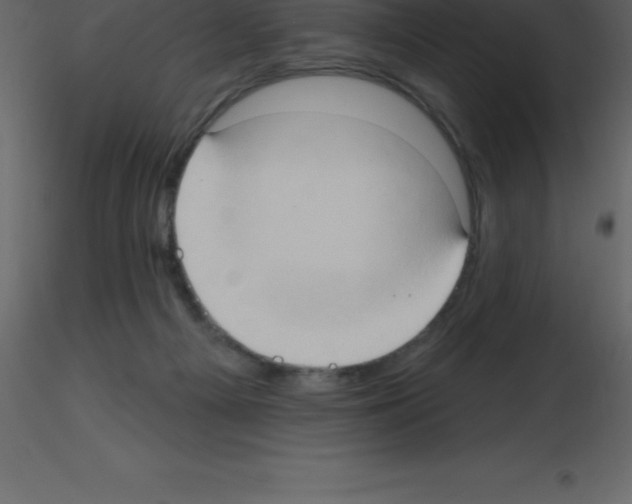 X0000115790121200912241840