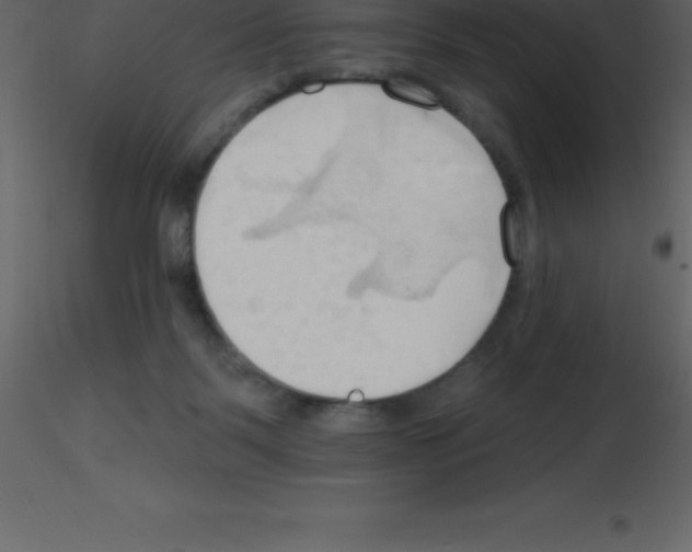 X0000115790123200912241839