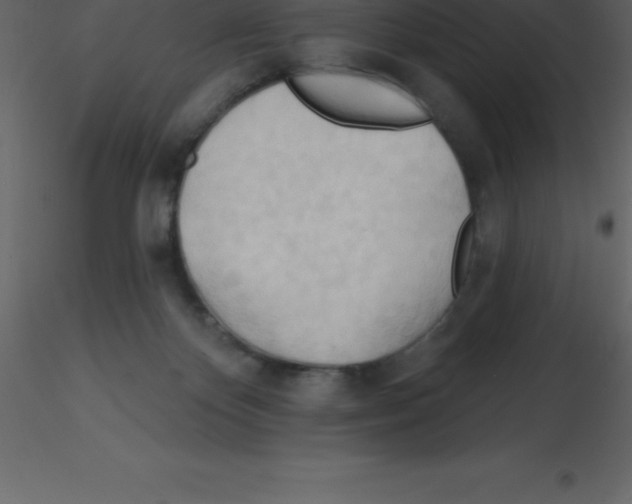 X0000115790124200912241839