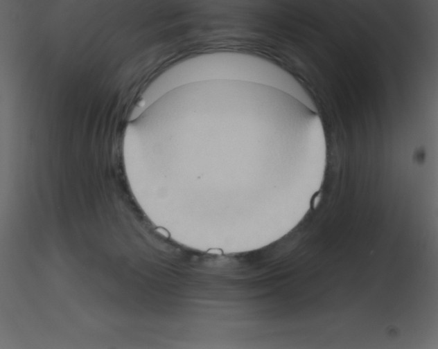 X0000115790125200912241839