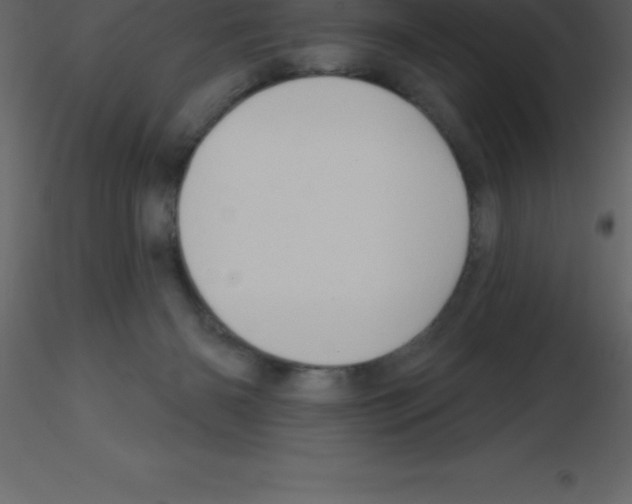 X0000115790126200912241839