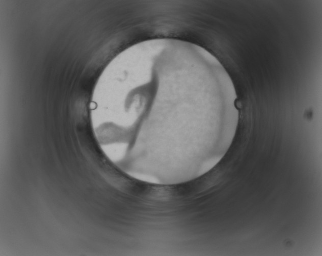 X0000115790127200912241839