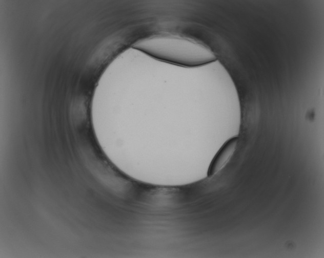 X0000115790128200912241839