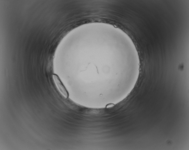 X0000115790129200912241839