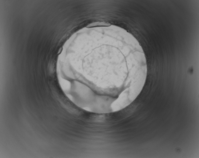 X0000115790131200912241839