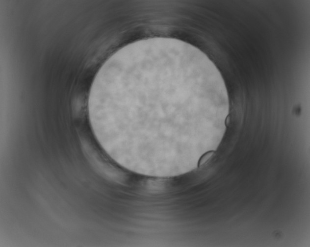 X0000115790134200912241839