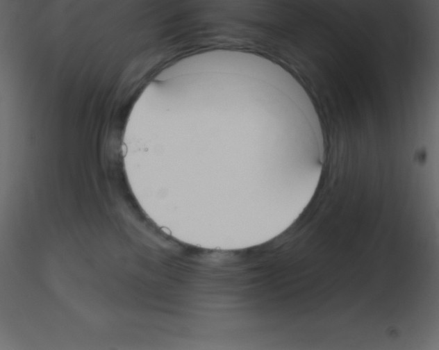 X0000115790137200912241839