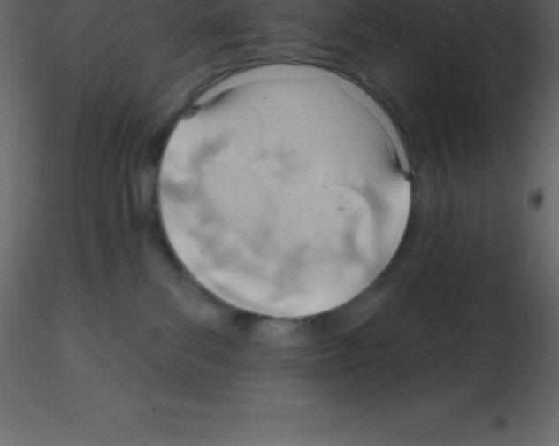 X0000115790139200912241839