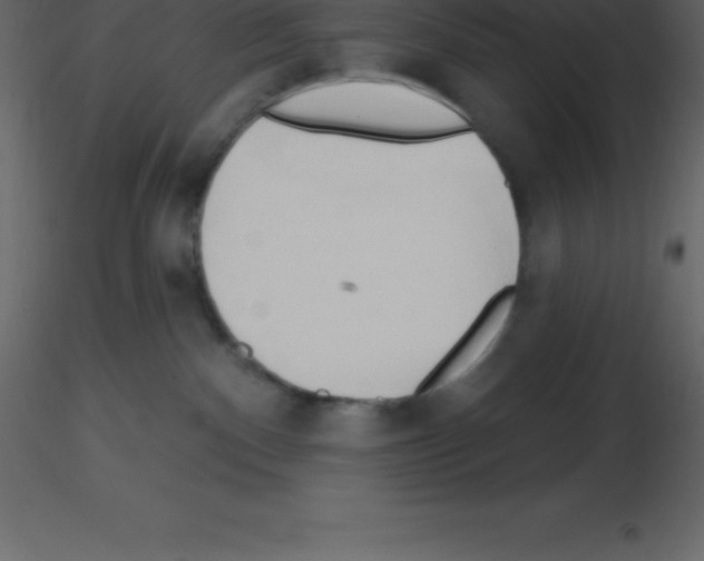 X0000115790140200912241839
