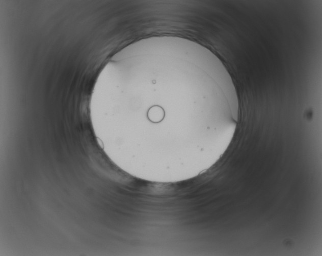 X0000115790141200912241839