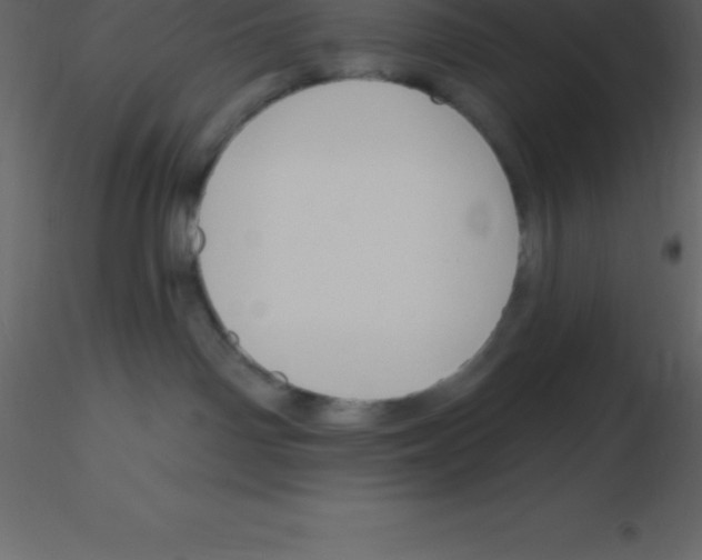 X0000115790142200912241839