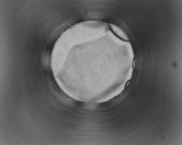 X0000115790143200912241839