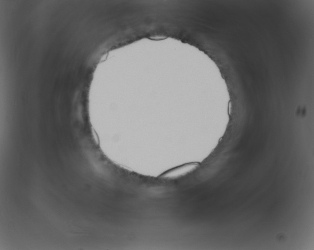 X0000115790144200912241839