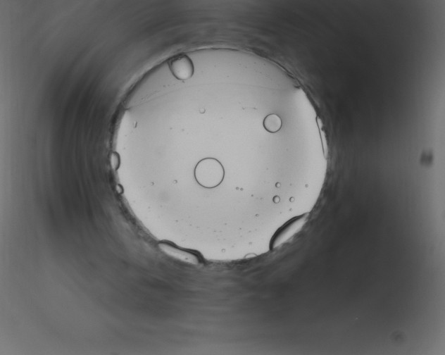 X0000115790146200912241839