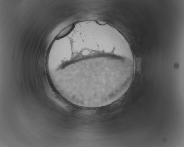 X0000115790147200912241839
