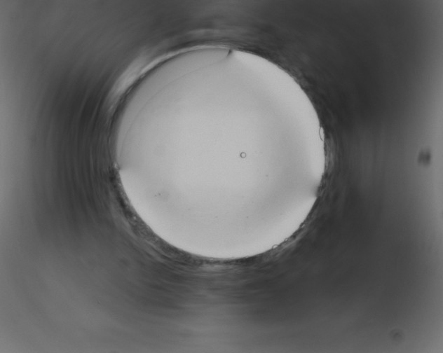 X0000115790150200912241839