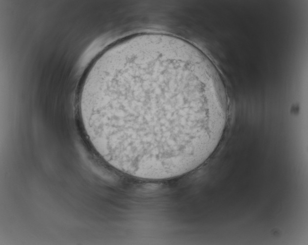 X0000115790151200912241839