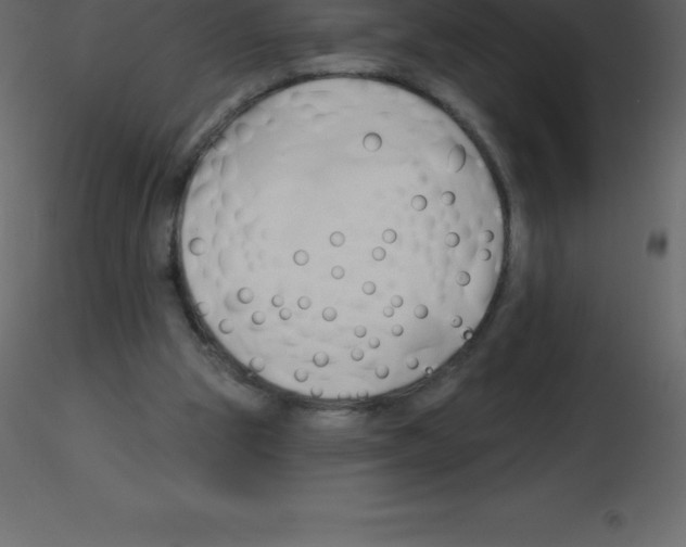 X0000115790153200912241839