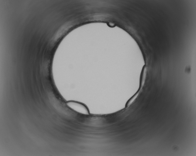 X0000115790154200912241839