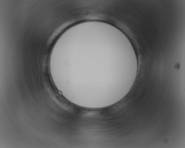 X0000115790155200912241839