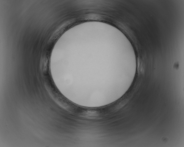 X0000115790157200912241839