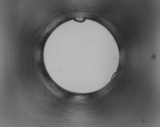 X0000115790158200912241839
