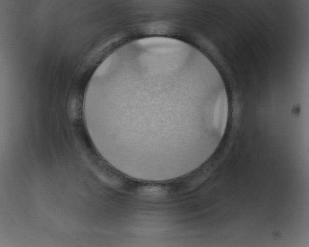 X0000115790161200912241839