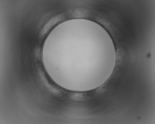 X0000115790162200912241839