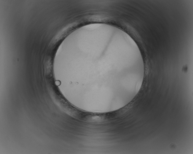 X0000115790163200912241839