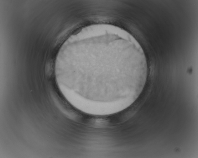 X0000115790165200912241839