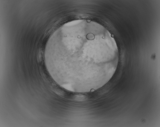 X0000115790169200912241839