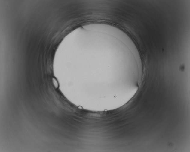 X0000115790170200912241839