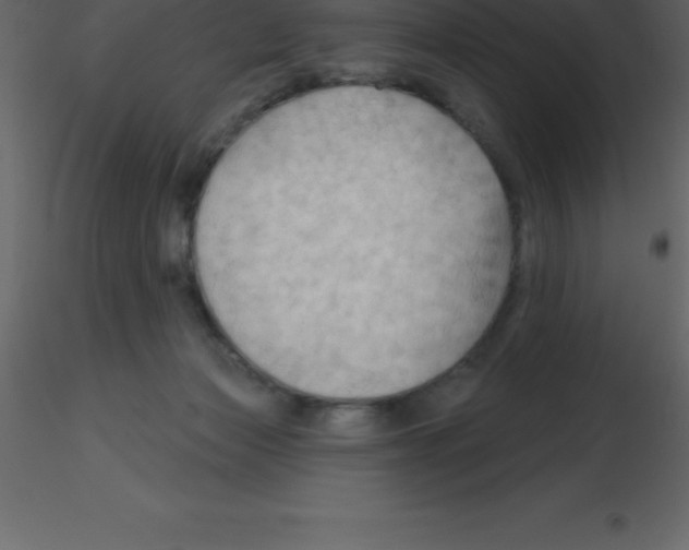X0000115790173200912241839