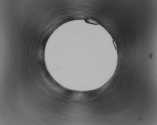 X0000115790174200912241839