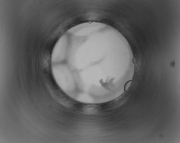 X0000115790175200912241839