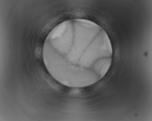 X0000115790177200912241839