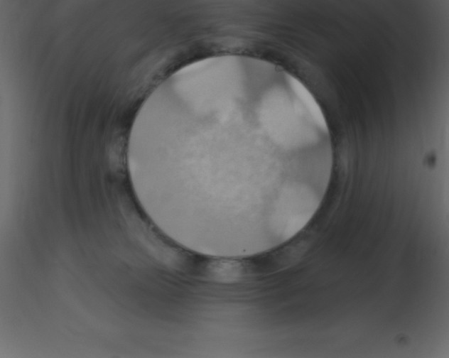 X0000115790181200912241839