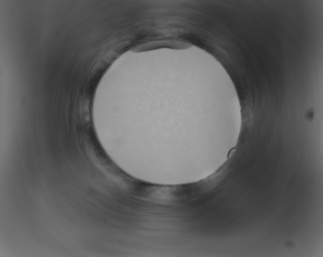 X0000115790182200912241839