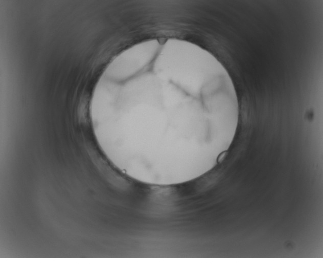 X0000115790185200912241839
